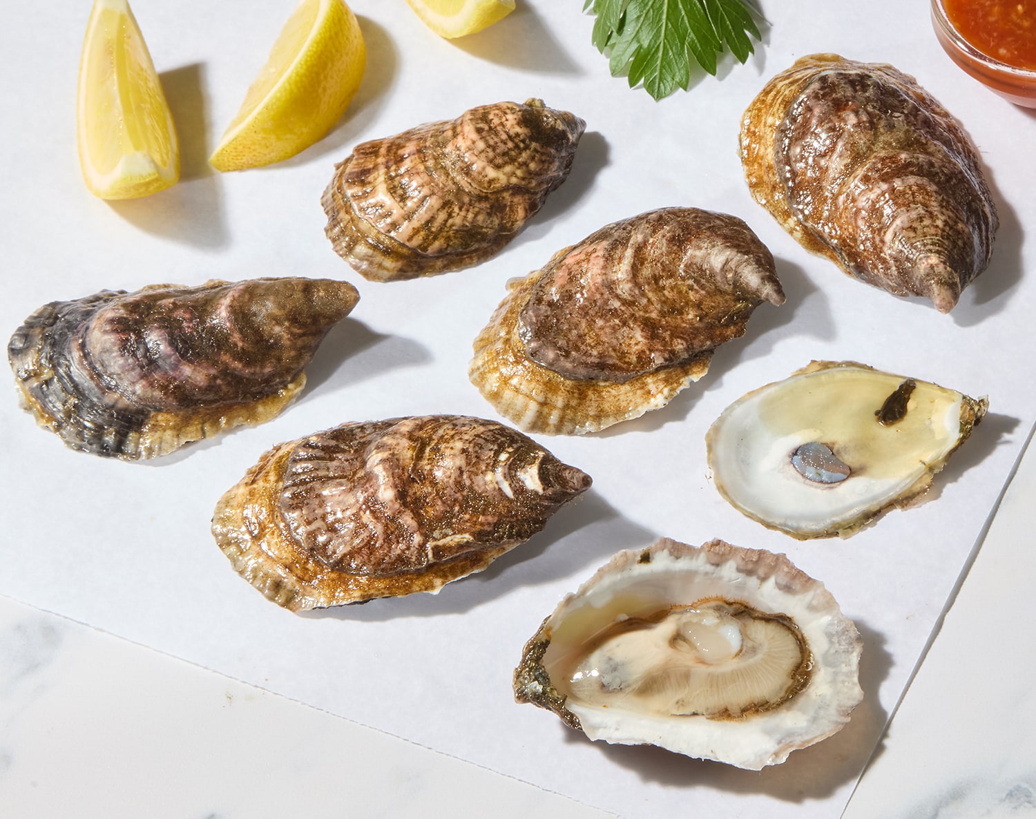 Great Gun Oysters